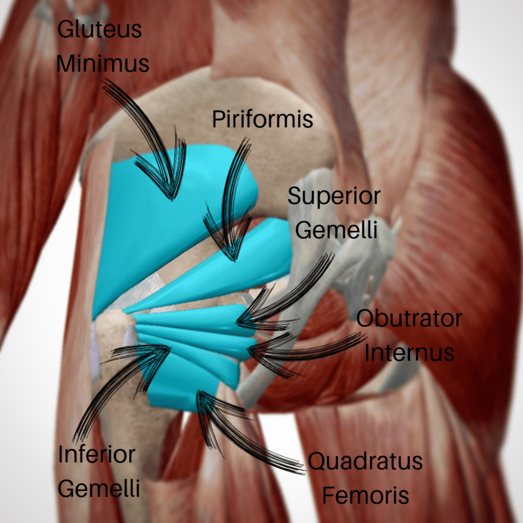 Duck Feet Posture - Feet Point Outward 